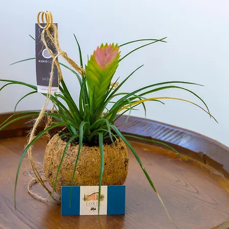 La Corte Nel Balsamico Bed & Breakfast